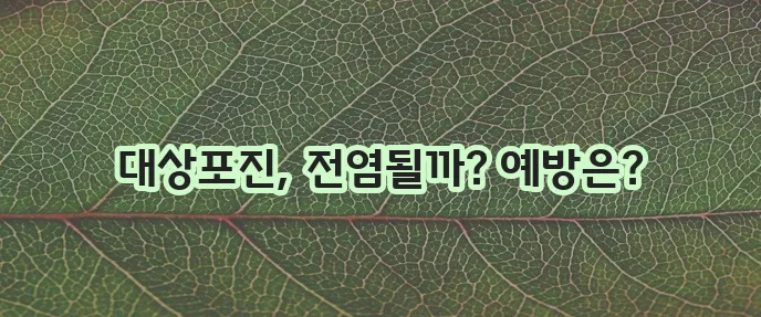대상포진 전염성 꼭 알아야겠죠 대상포진 증상과 예방접종까지!