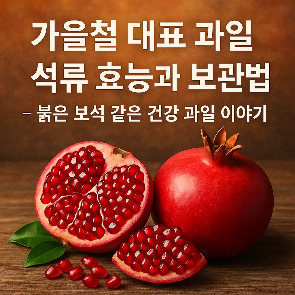 가을철_대표_과일_석류_효능과_보관법_&ndash;_붉은_보석_같은_건강_과일_이야기