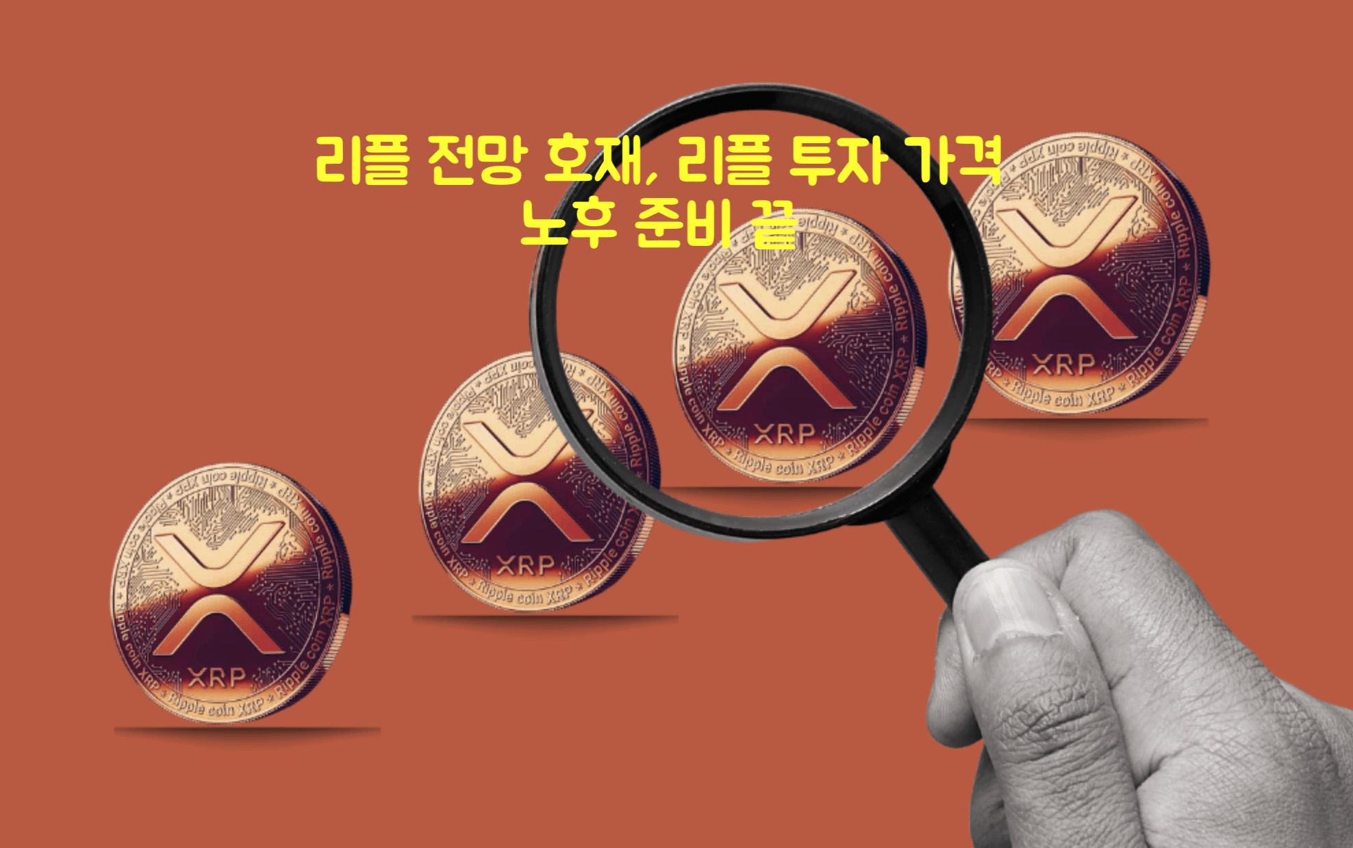 리플 전망