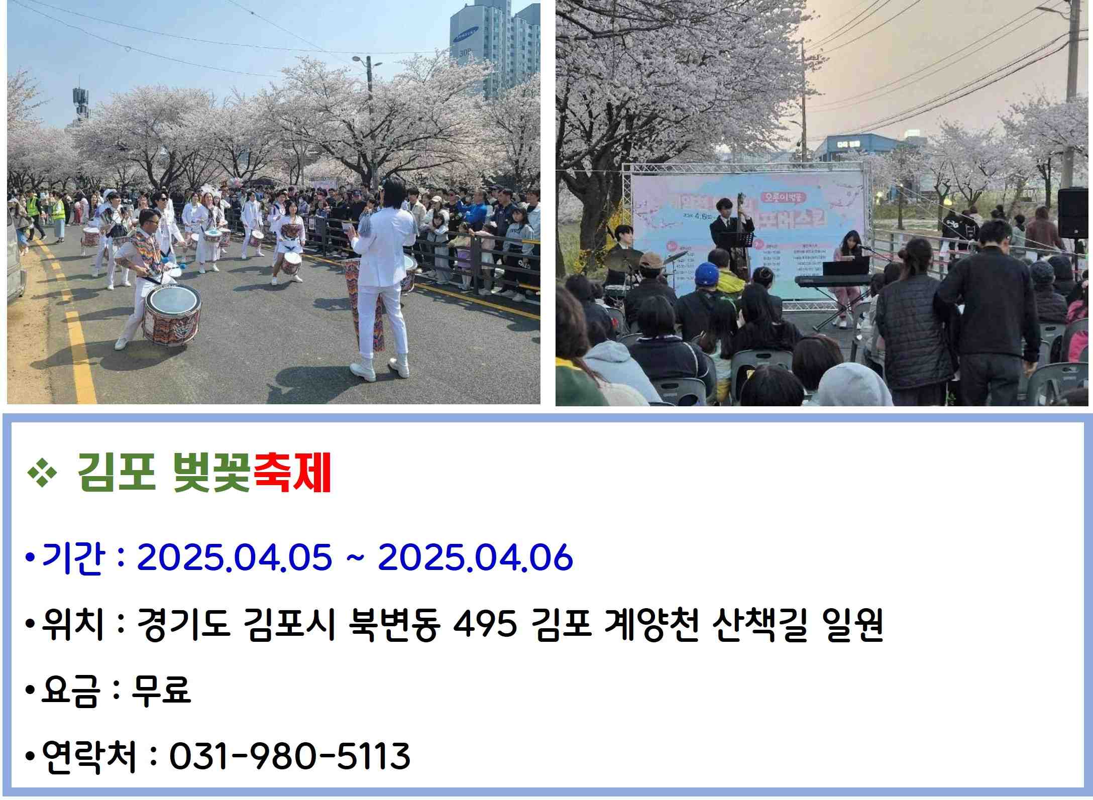 김포 벚꽃축제