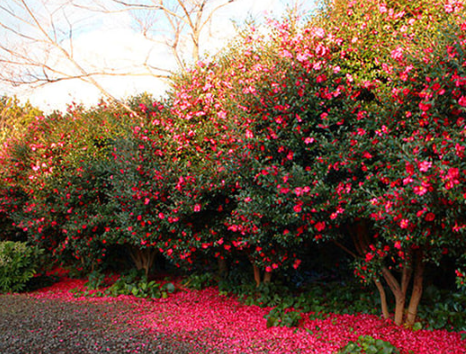 5월제주도 가볼만한곳