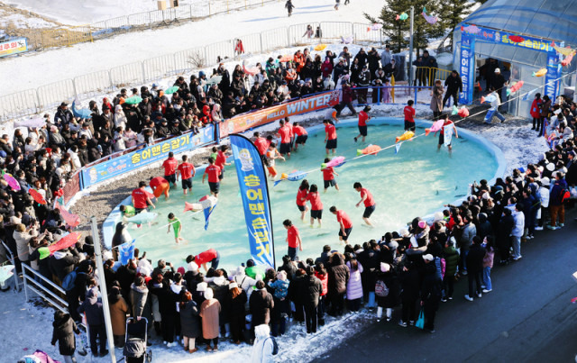 제17회 평창 송어 축제 완벽 가이드ㅣ일정&amp;#44; 입장료&amp;#44; 낚시 잘하는 꿀팁 (2026)