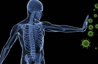 면역력을 높이는 음식 BEST10