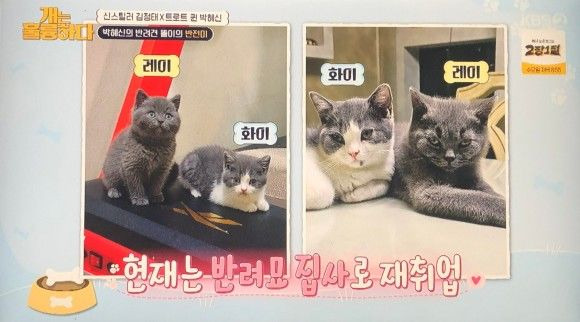 배우 김정태 간암 재발 위기 및 아들 지후 아스퍼거 증후군 극복 근황 총정리