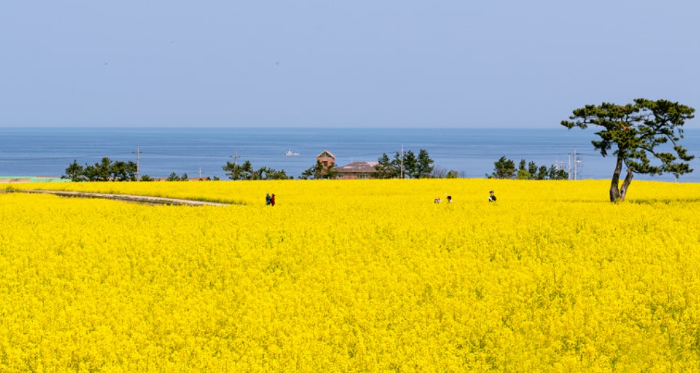 포항 가볼만한곳 베스트10