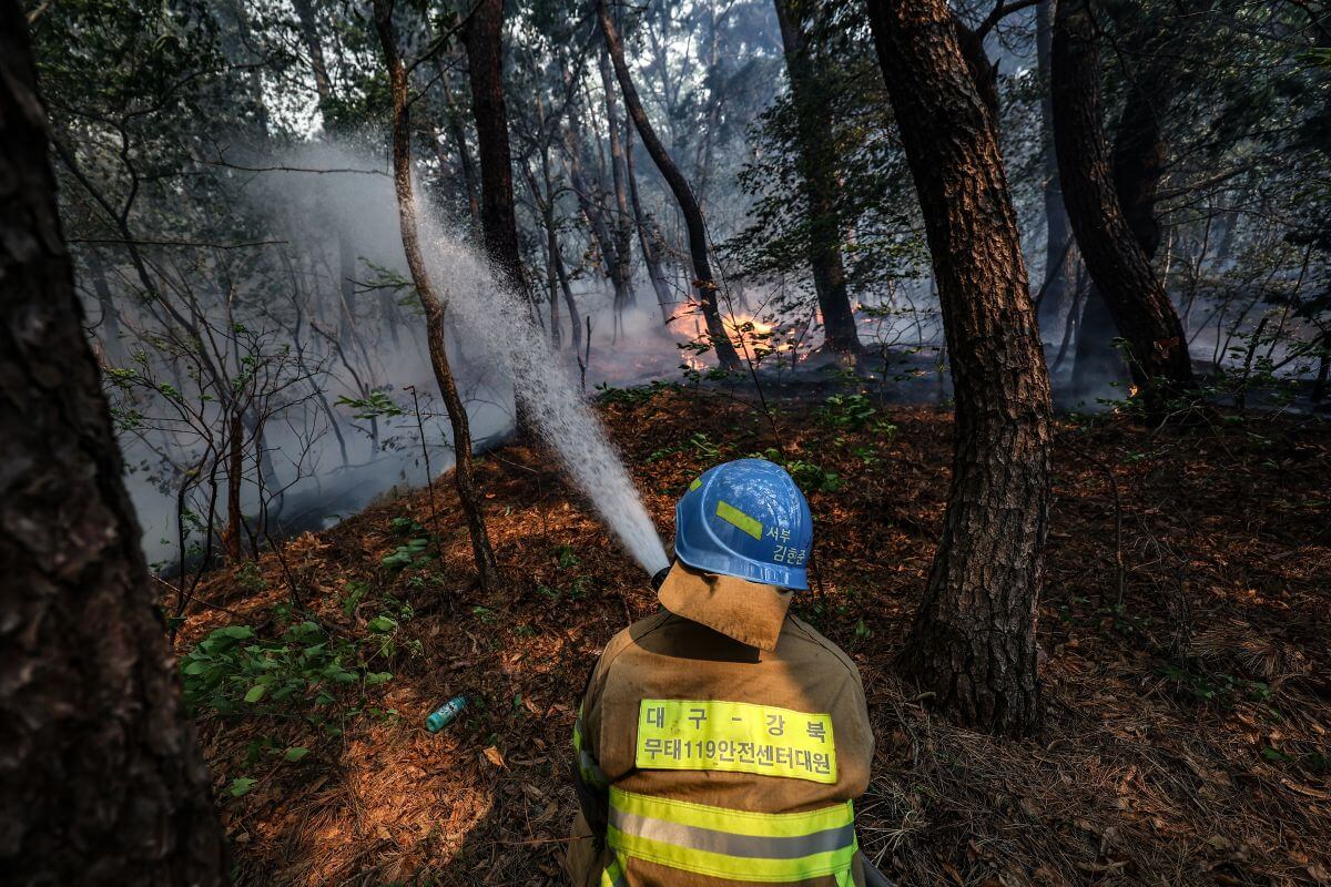 대구 함지산 산불 원인 실시간 상황 대피 주의사항