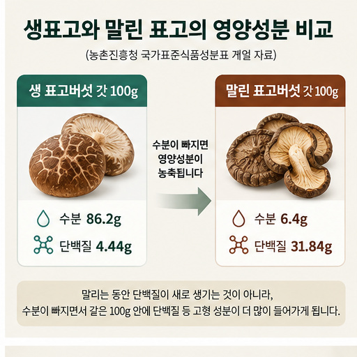 생표고와 말린 표고의 수분과 단백질 함량 변화를 비교한 인포그래픽