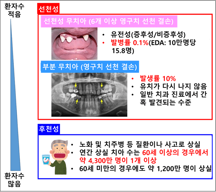[일본 경제는 지금] 차세대 산업혁명 유망주로 떠오른 바이오테크놀로지