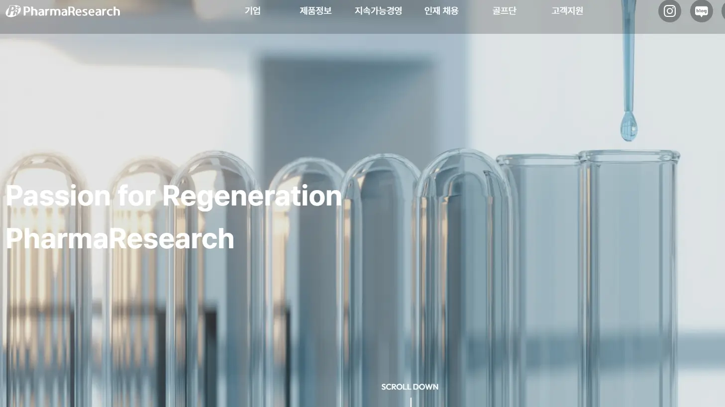 미용의료기기 관련주