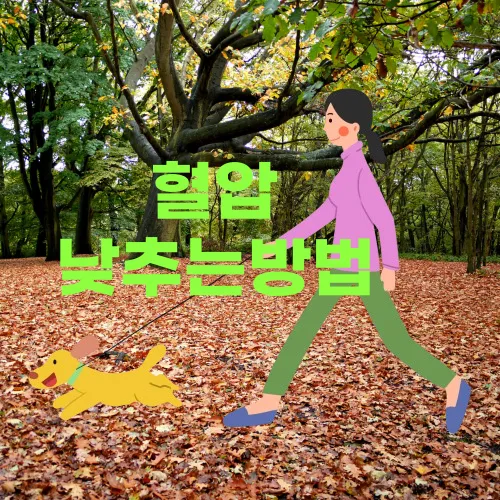 혈압 낮추는 방법