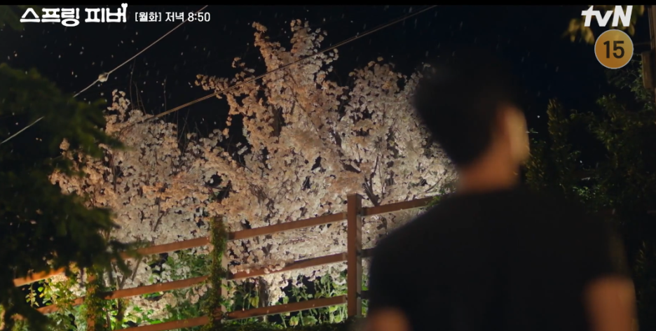 스프링 피버 기본정보 등장인물 1회 내용