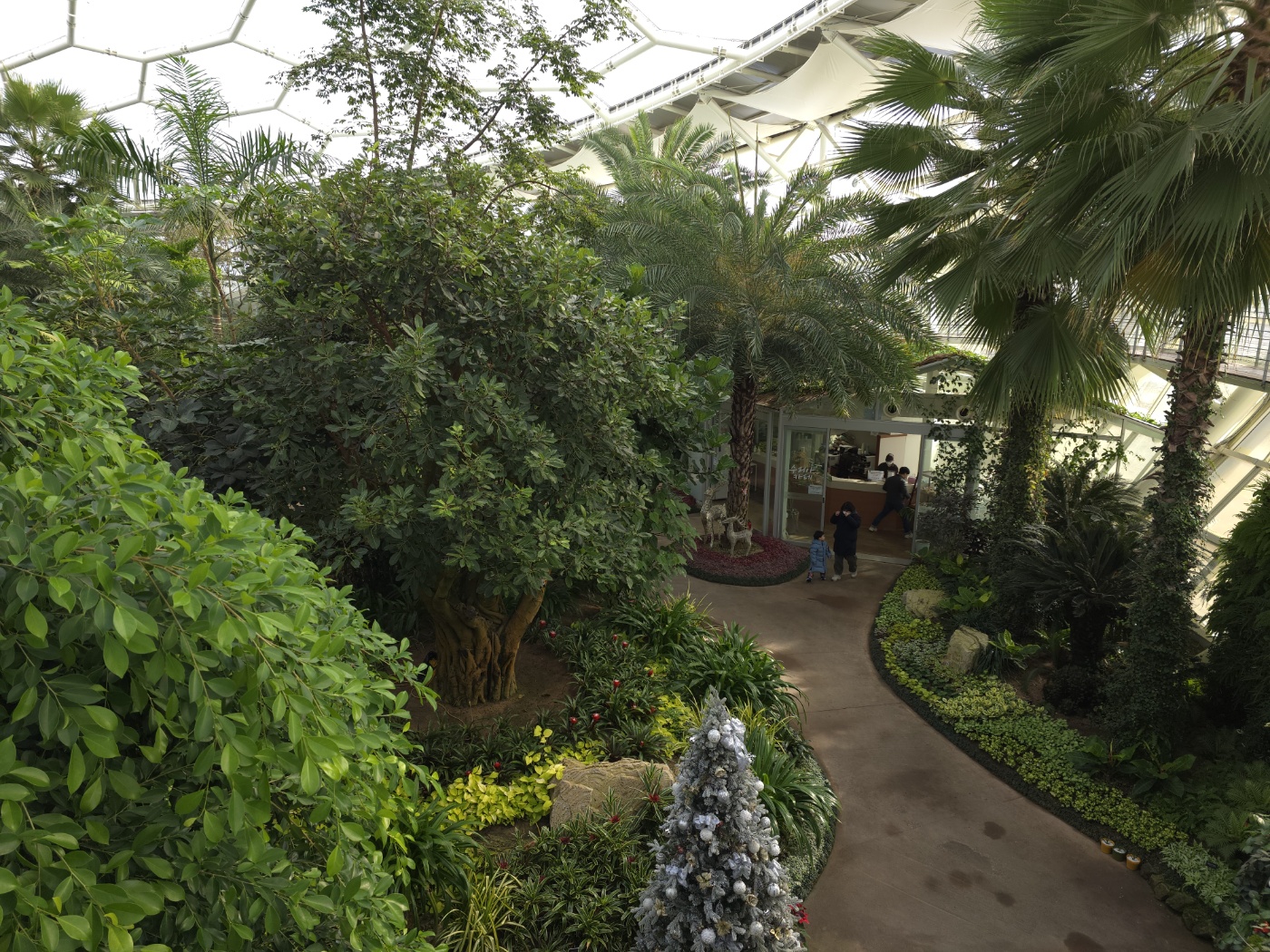 겨울 실내 아이와 가볼만한곳 부천호수공원 식물원 수피아