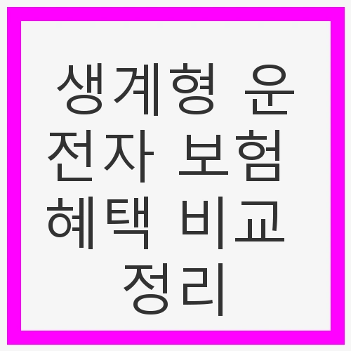 생계형 운전자 보험 혜택
