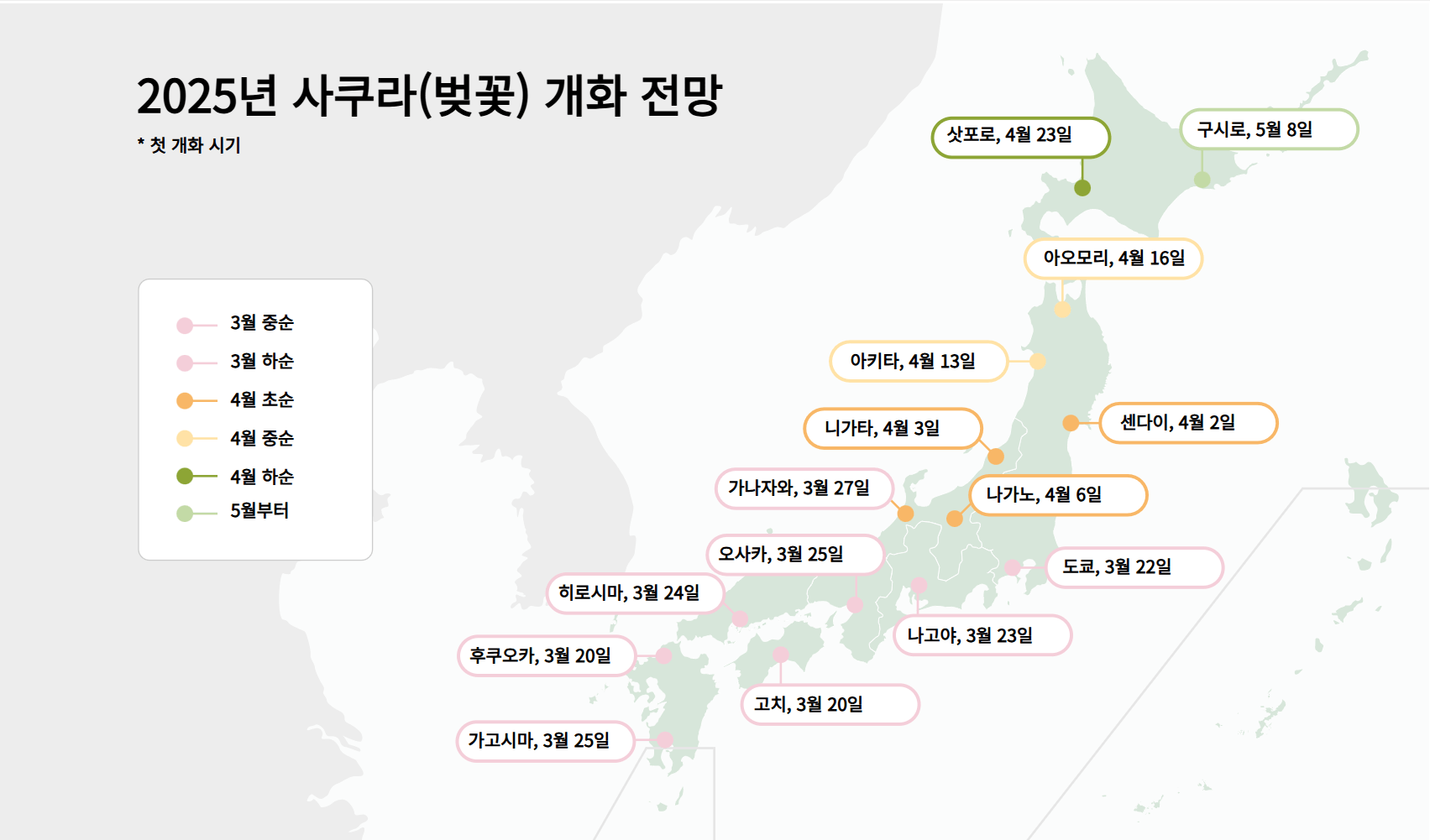일본 벚꽃 개화시기 2025 관광 명소 (도쿄, 오사카, 후쿠오카, 나고야, 삿포로)