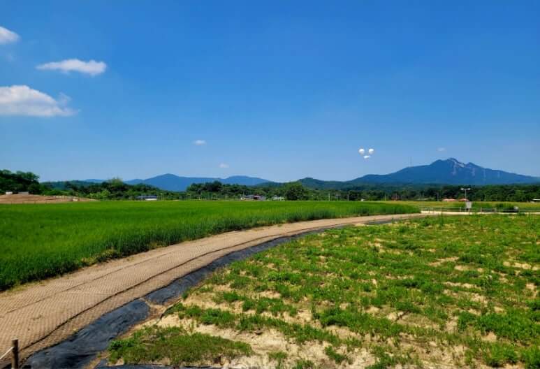 나리공원의 가을