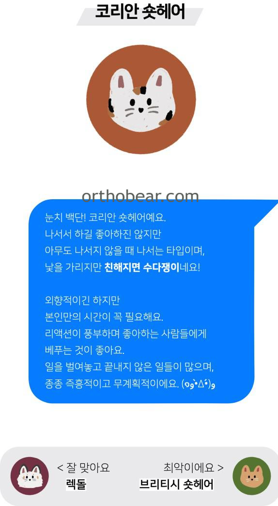 코리안 숏헤어 mbti