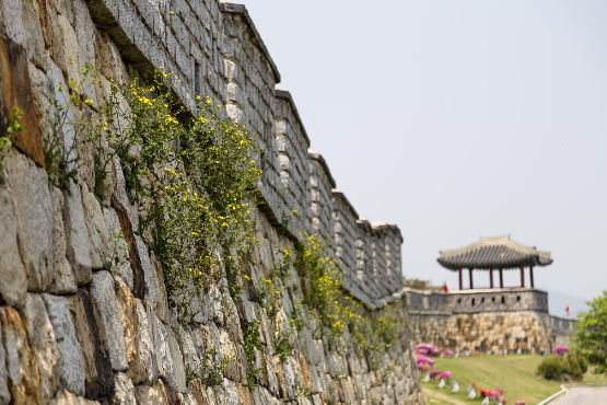 문화 다양성과 연결성, 타인을 이해하는 예술의 가치