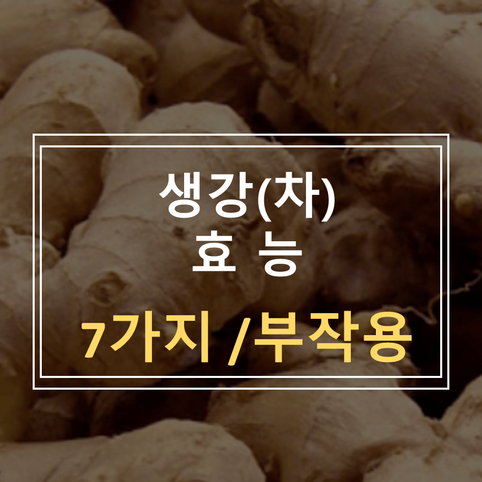 생강효능