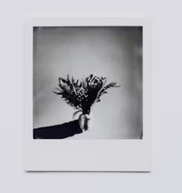 인생네컷 창업에 대하여 알아보기