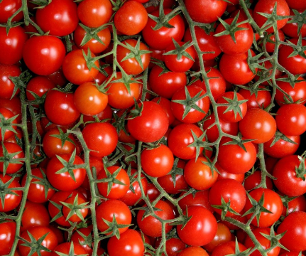 방울토마토 마리네이드 레시피 알아보자