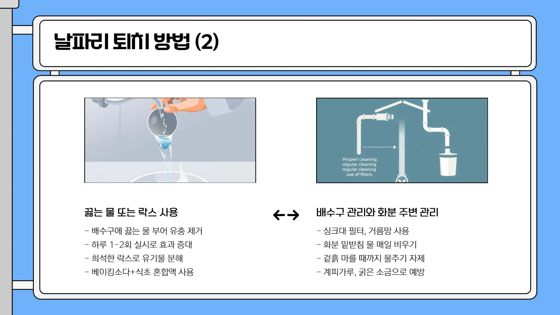 날파리 없애는 방법5