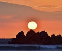 ENTJ 유형 특징 분석