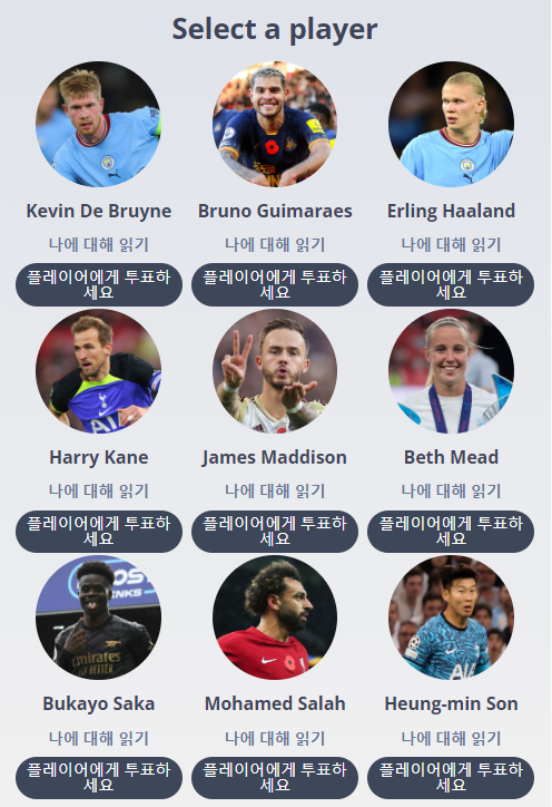 EPL 팬들이 뽑은 올해의 선수상 후보 9명