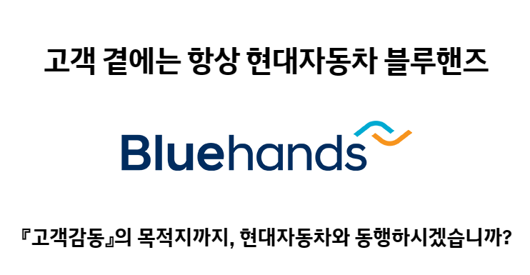 현대 블루핸즈