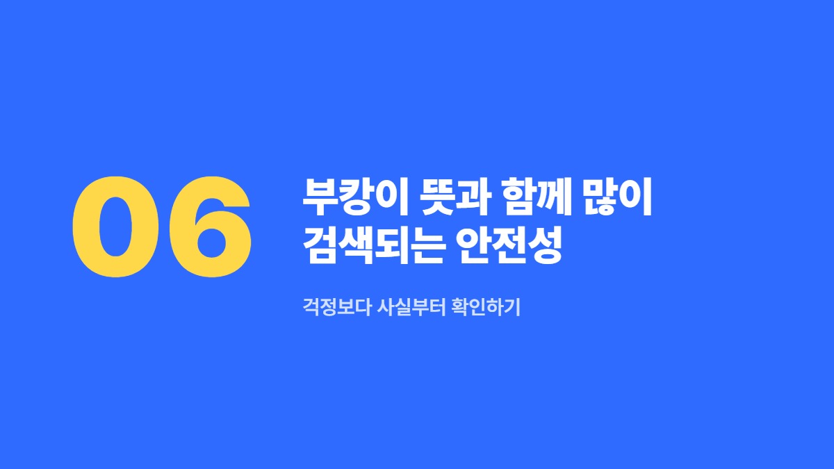 부캉이 뜻과 함께 많이 검색되는 안전성 — 걱정보다 사실부터 확인하기
