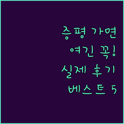 증평 여행 출장 숙소 베스트 5 실제..