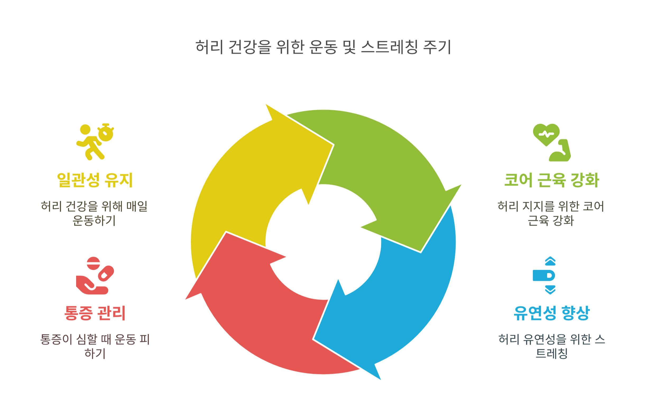 허리 디스크 재발을 막는 운동법과 스트레칭