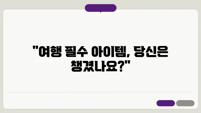 여행 필수품