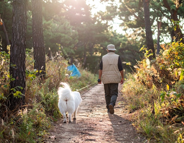 검마산자연휴양림에서 반려견과 산책하는 모습
