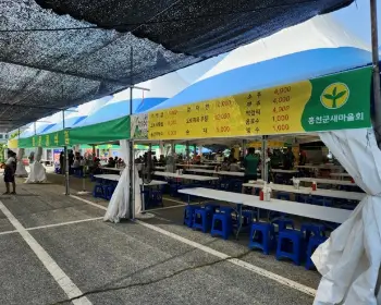 홍천 찰옥수수 축제 프로그램_6