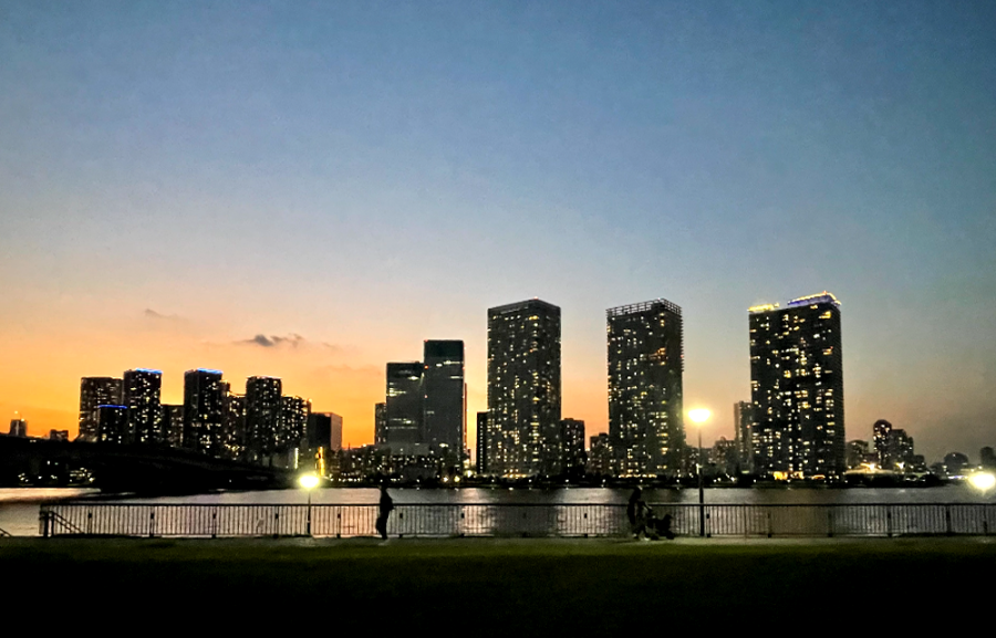 일본 도쿄로 다시 가고 싶은 3박 4일 여행기 - 와일드 매직 자연만끽 야외시설