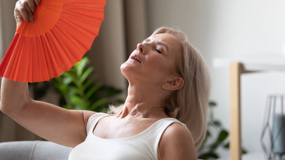 폐경후 여성 갱년기 증상 치료 및 관리법 관련 사진