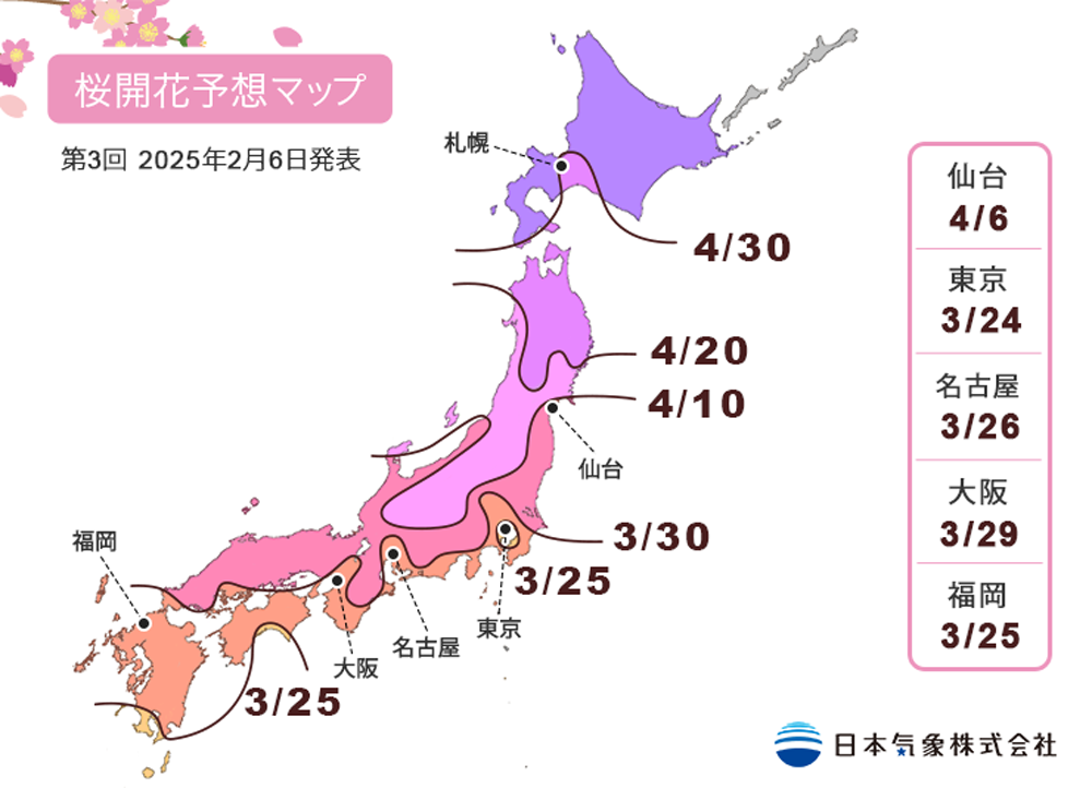 2025 사쿠라 전선