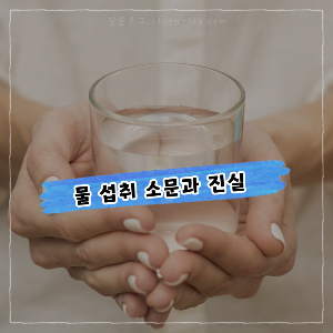 알아두면 쓸데있는 건강한 물 섭취에 관한 소문과 진실