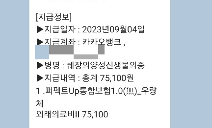 CT 보험 청구