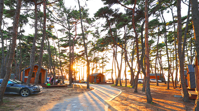부안 변산반도 해변 캠핑