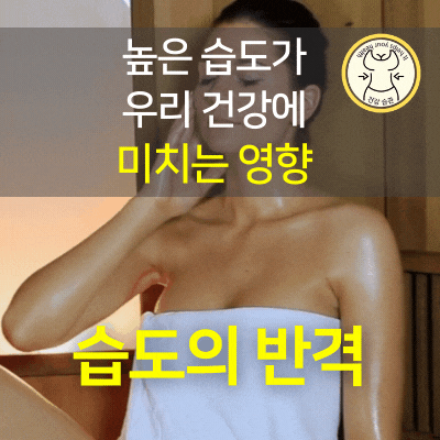 높은 습도가 우리 건강에 미치는 영향