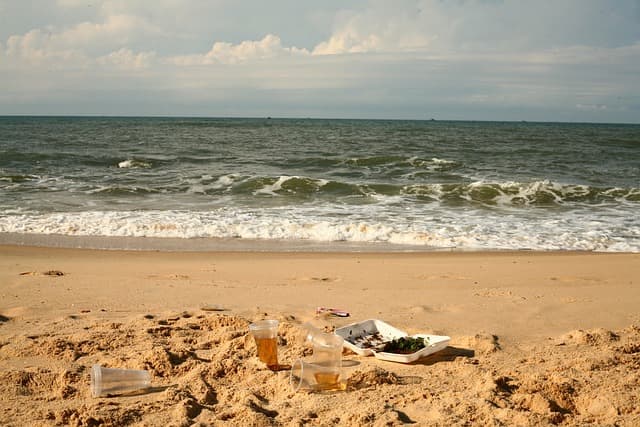 친환경 뷰티: 지구에 해롭지 않은 화장품 선택하기
