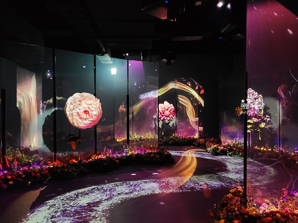 플라워바이네이키드 홍대 놀거리 입장료 23% 할인예매방법, 즐기는 꿀팁 네가지