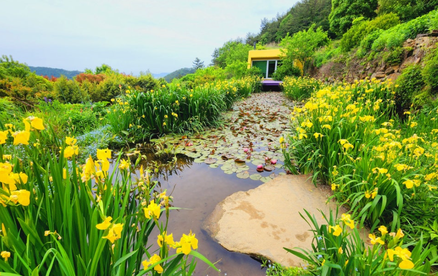 남해 섬이정원 다양한 봄꽃1