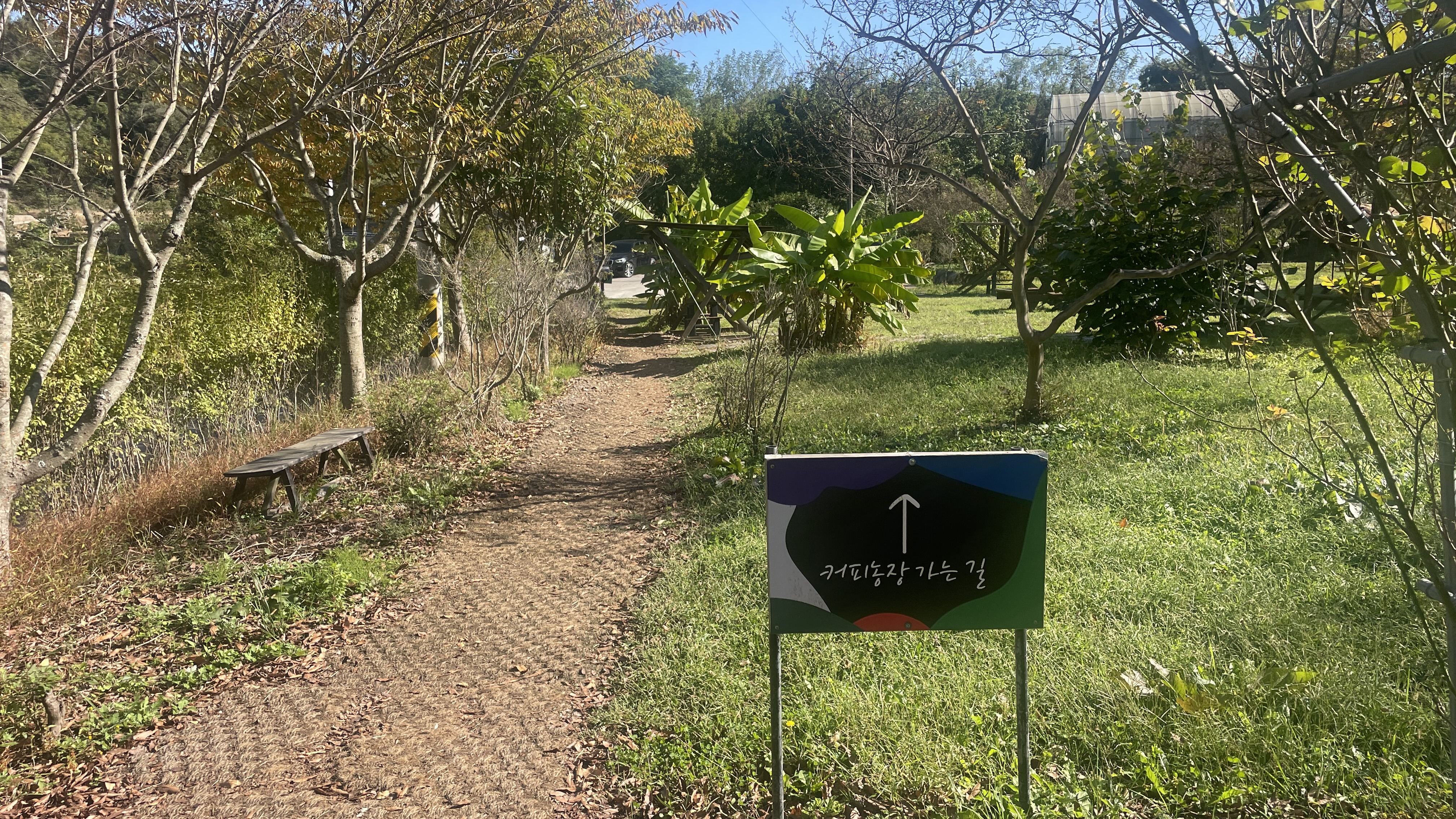 산티아고 커피농장