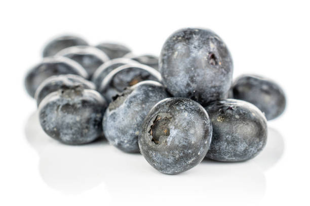 건 블루베리 효능