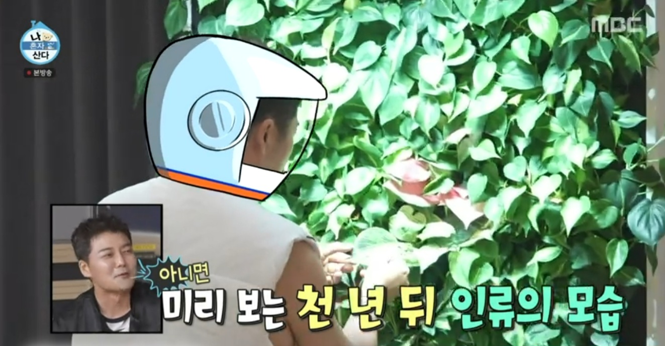 나혼자 산다 609화 전현무 실내정원, 공기정화 식물