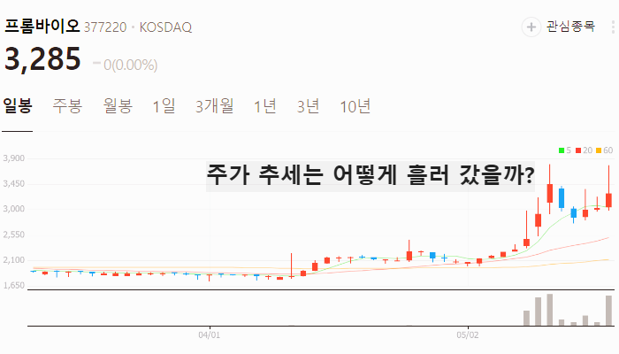 탈모 관련주 대장주 테마주 수혜주 TOP5