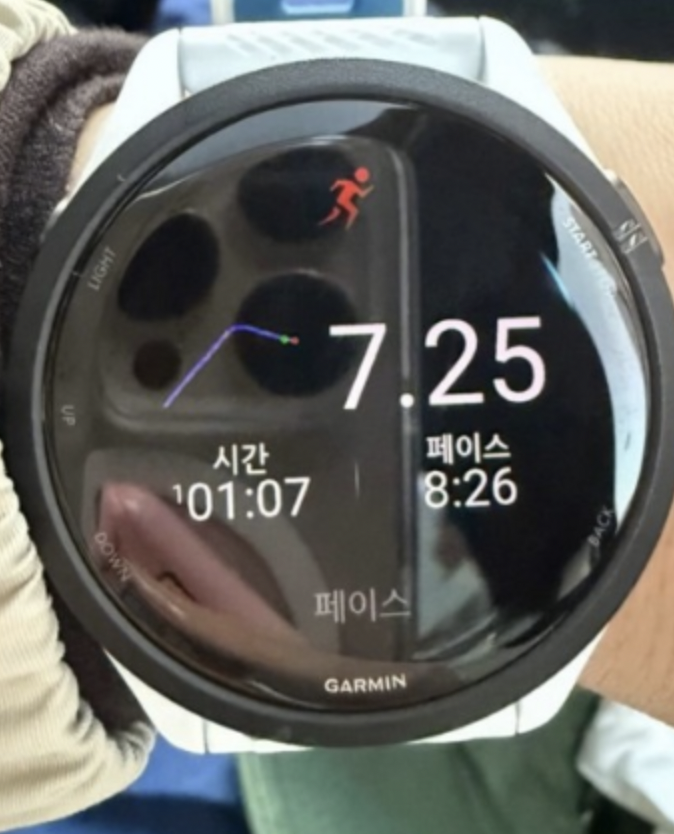 손예진1시간달리기기록사진시계