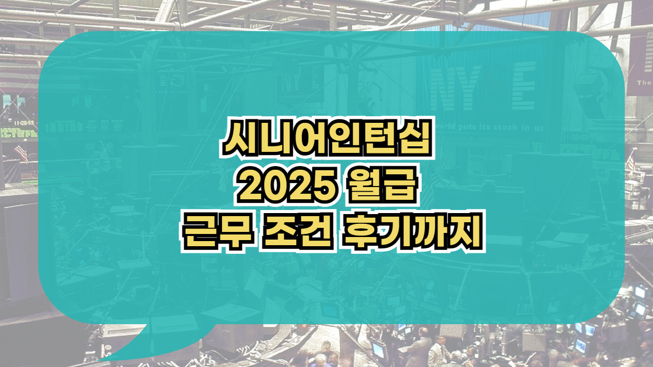 시니어인턴십 2025 월급 근무조건 후기